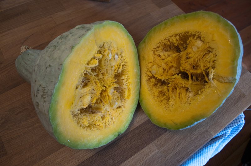 Winter Squash photo 2