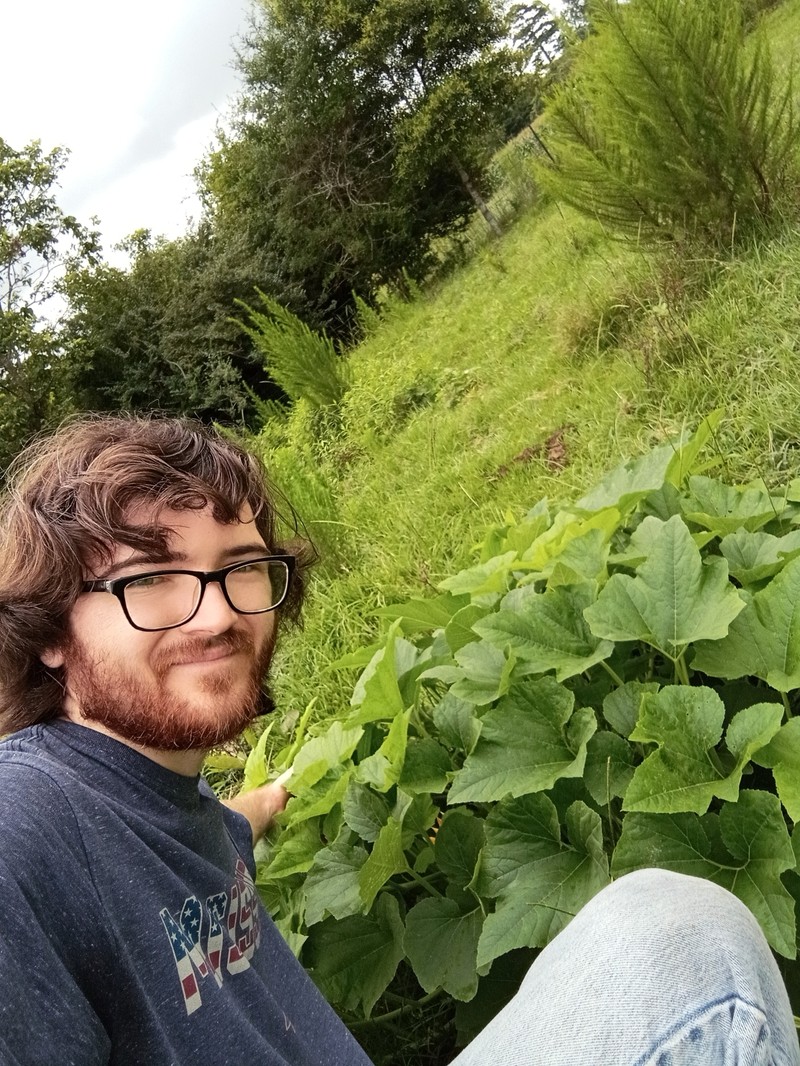 Cucurbita melopepo var. ozarkana photo 5