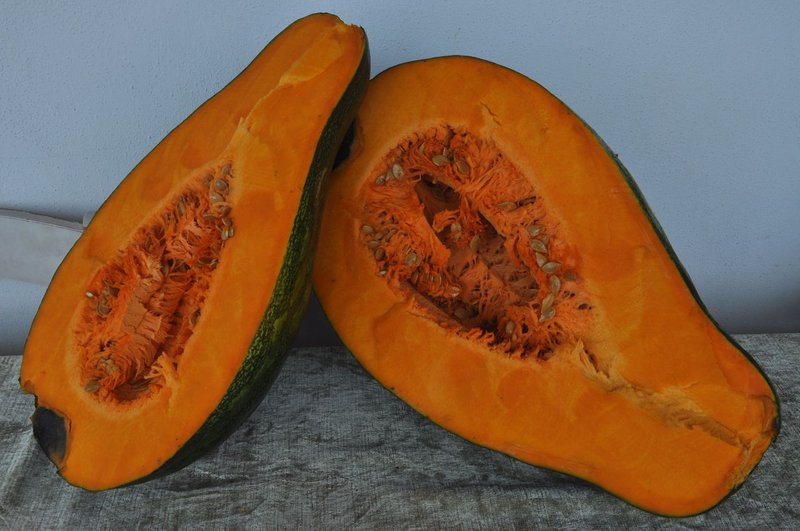 Crookneck Squash photo 3