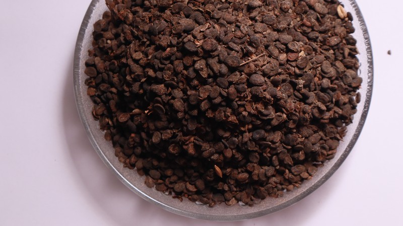 Malaysian Scurfpea photo 2