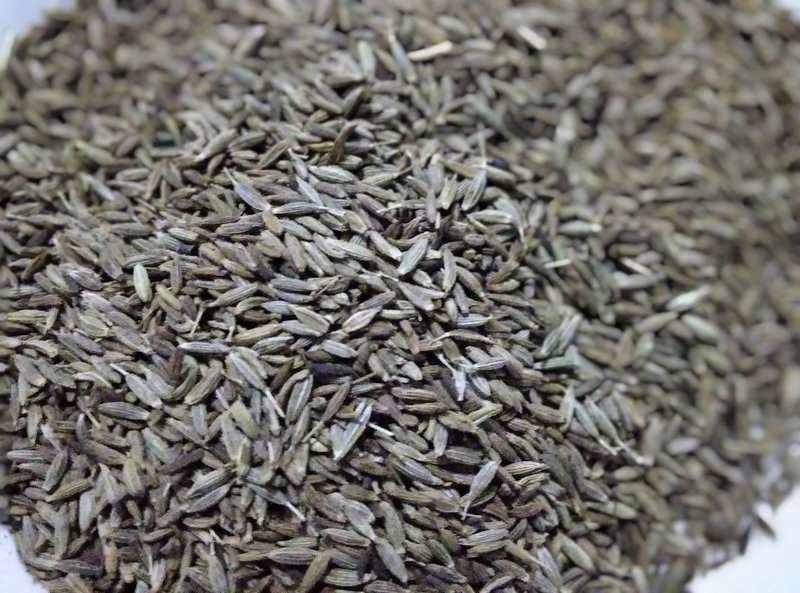 Cumin photo 3