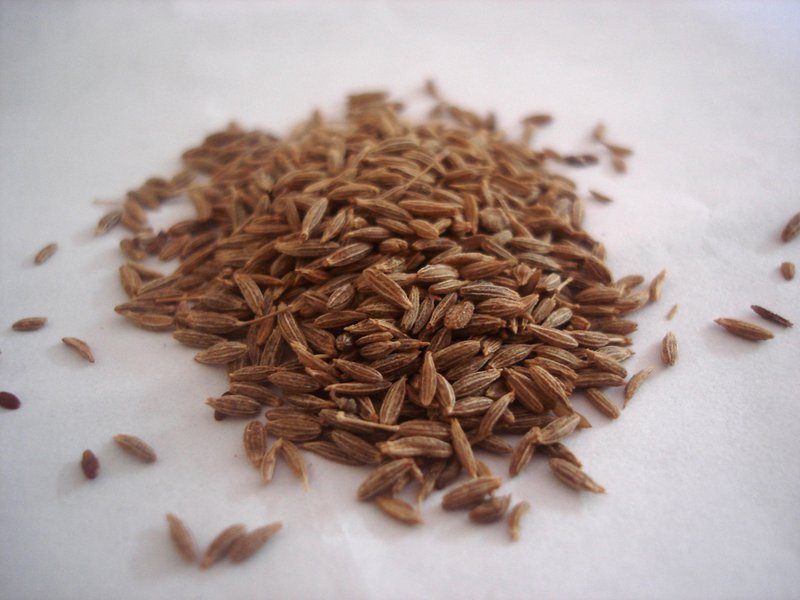 Cumin photo 4