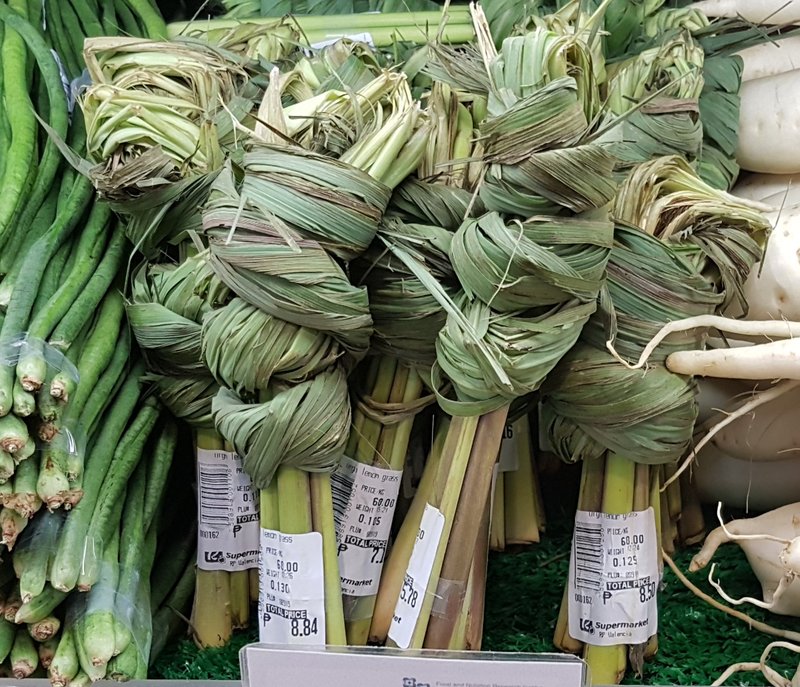 Lemon Grass photo 5