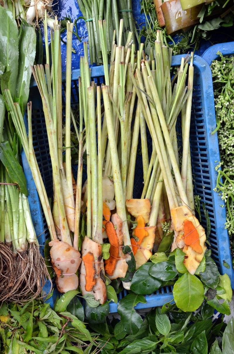 Lemon Grass photo 6