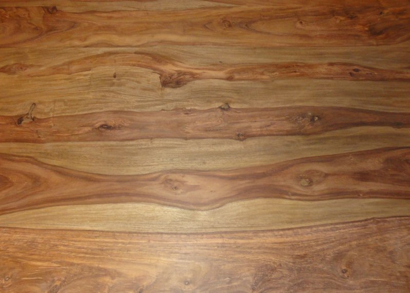 Indian Rosewood photo 5