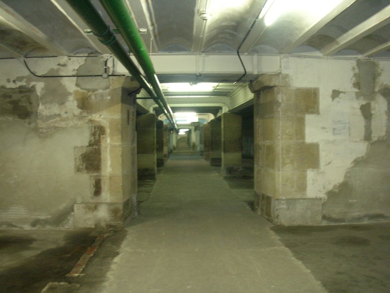 Confusing Lady's Tresses