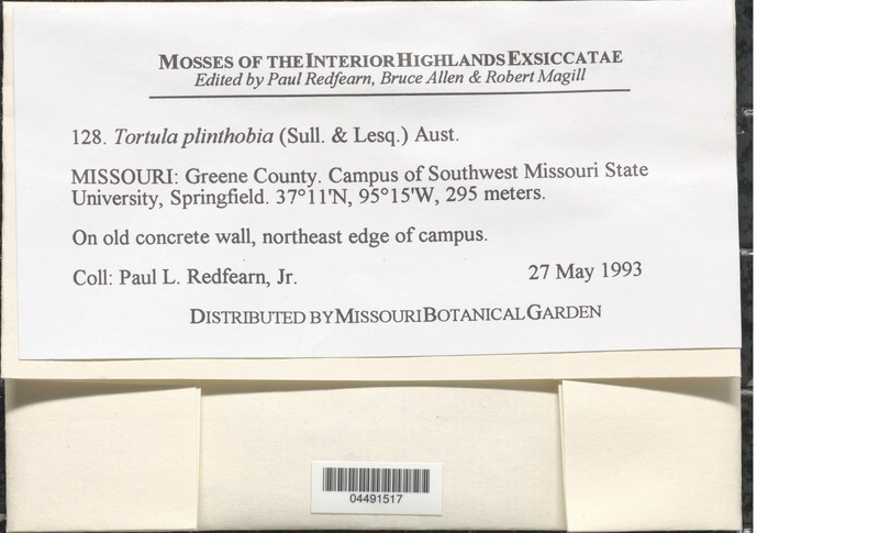 Desmatodon Moss