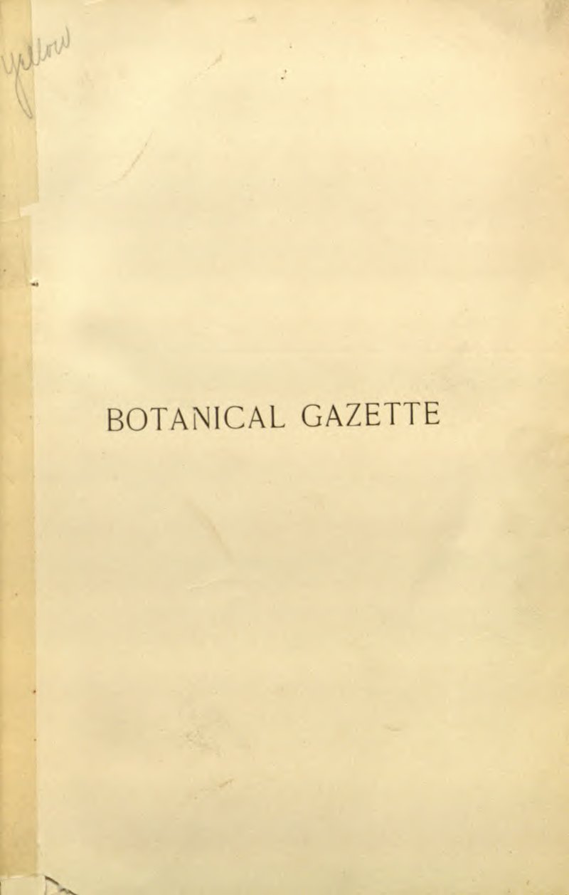 Olympic Dichodontium Moss