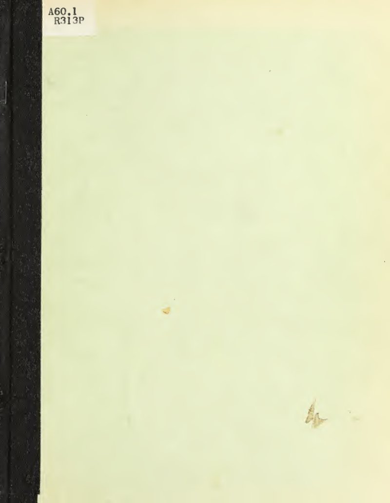 Digitaria swazilandensis
