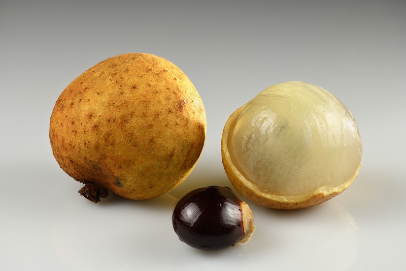 Longan photo 6