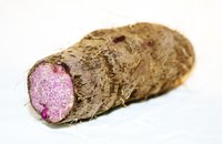 Water Yam