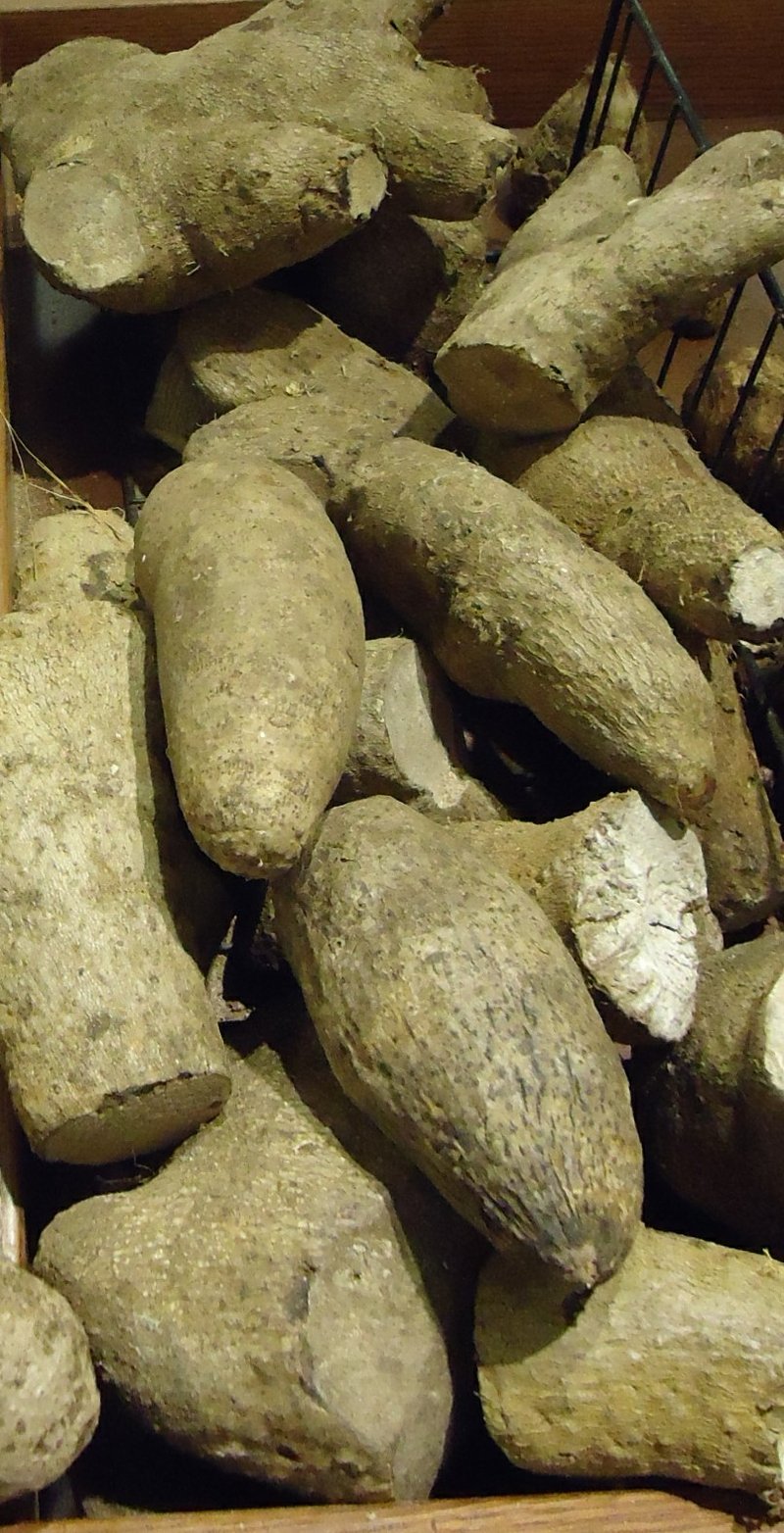 Yellow Guinea Yam