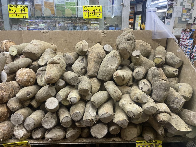 Yellow Guinea Yam photo 6