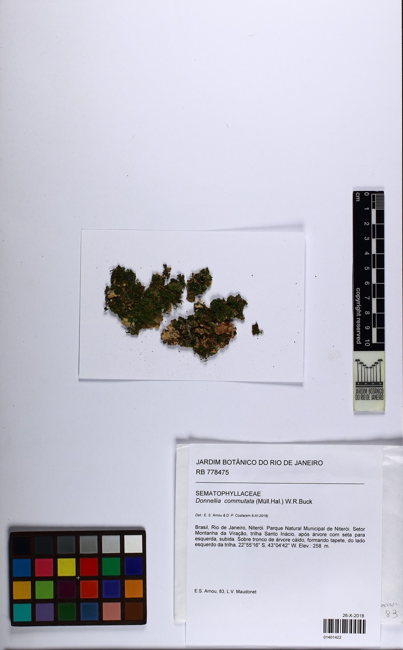 Donnellia Moss photo 3