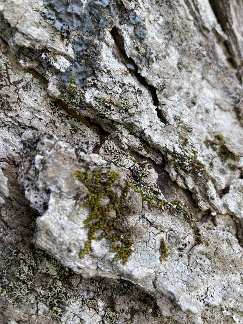 Drummond Moss photo 7