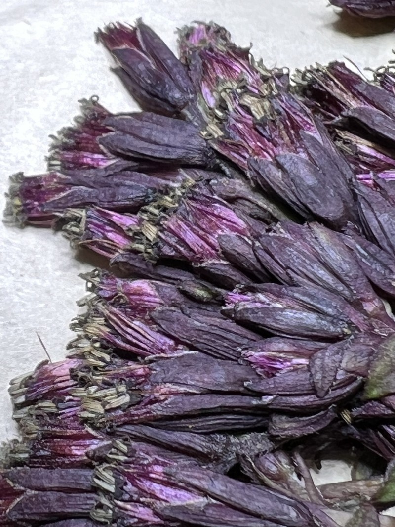 Dubautia knudsenii subsp. nagatae photo 2