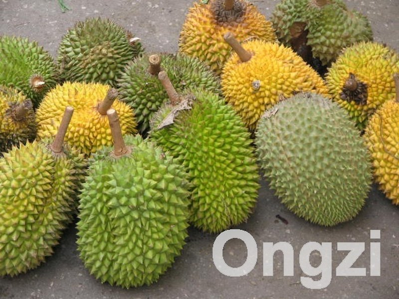 Durian photo 6