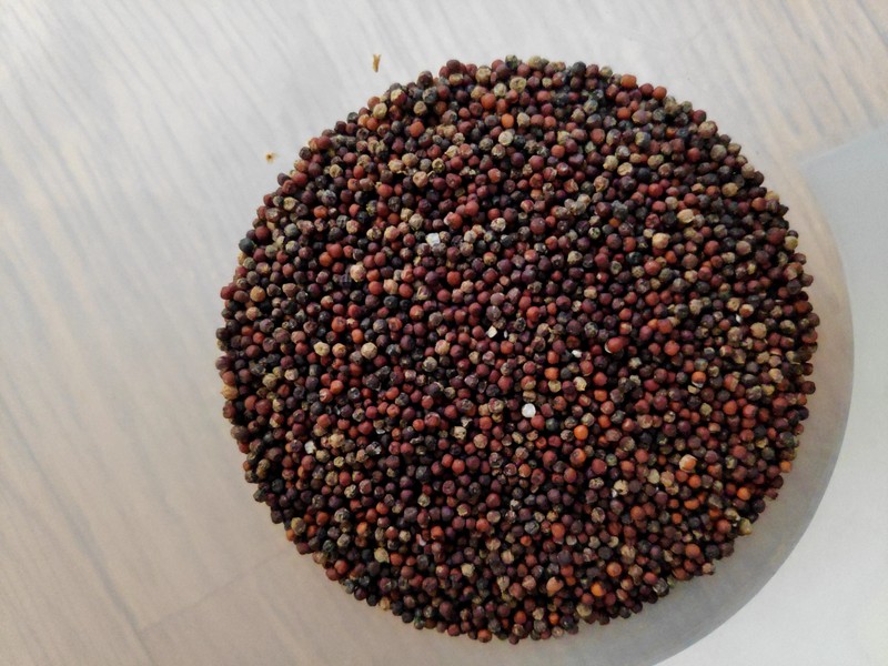 Finger Millet photo 4