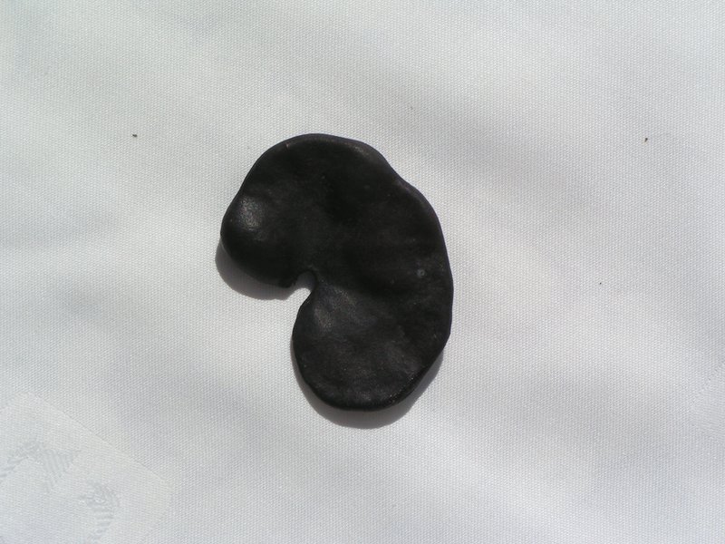 Pacara Earpod Tree photo 6