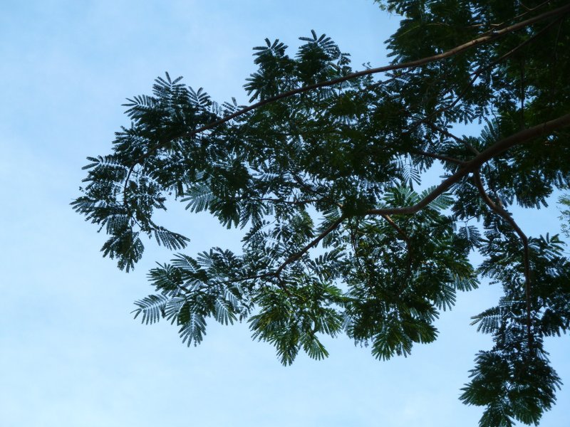 Monkeysoap photo 7