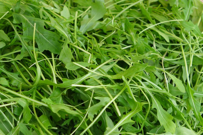 Rocketsalad photo 6