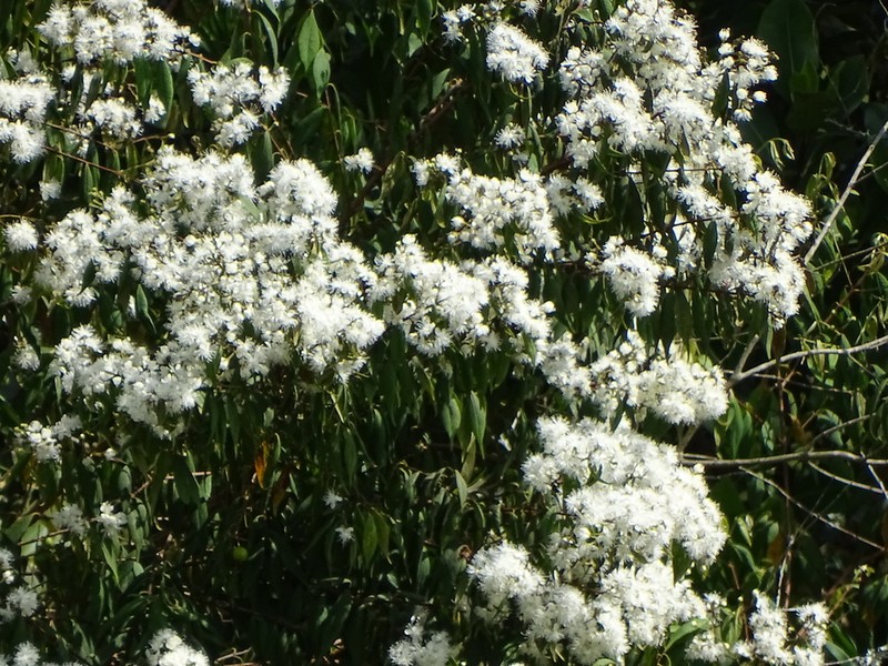 Blackrodwood photo 5