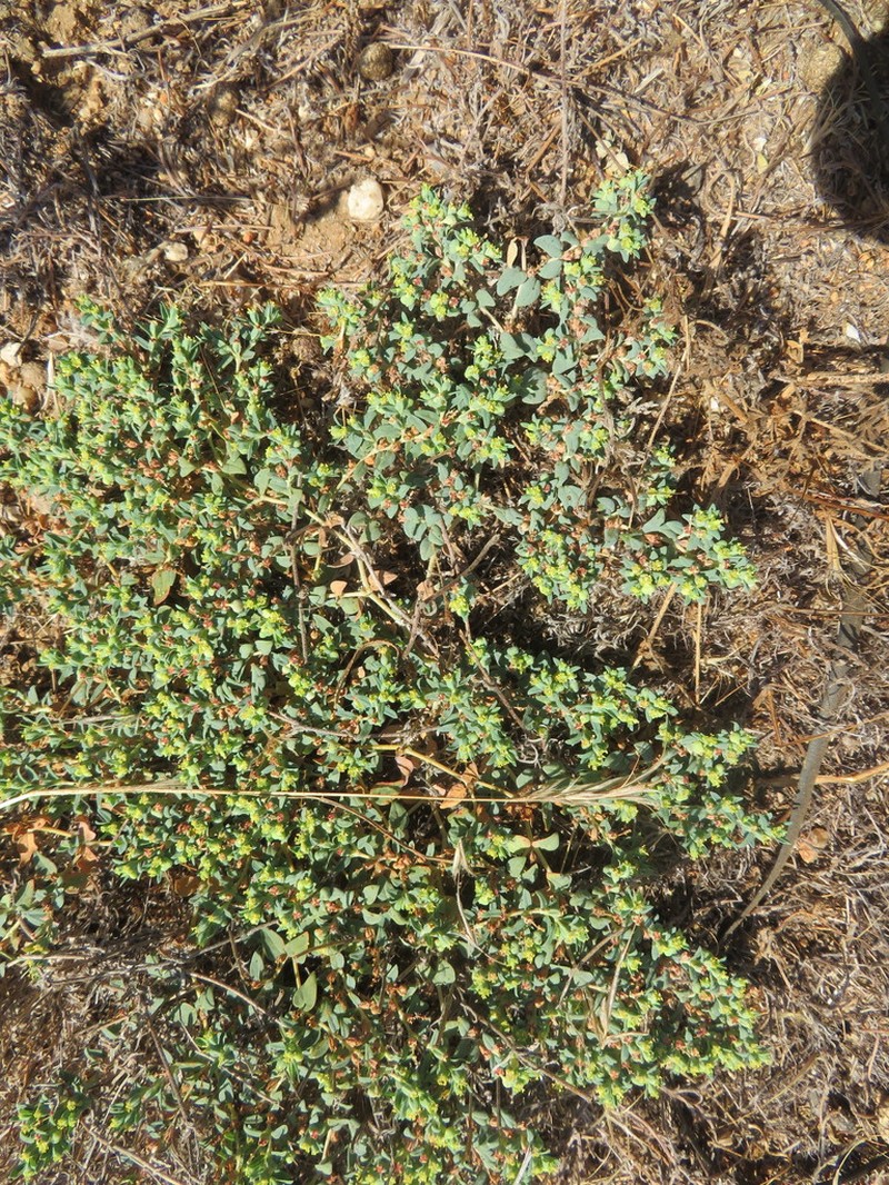 Contura Creek Sandmat photo 6