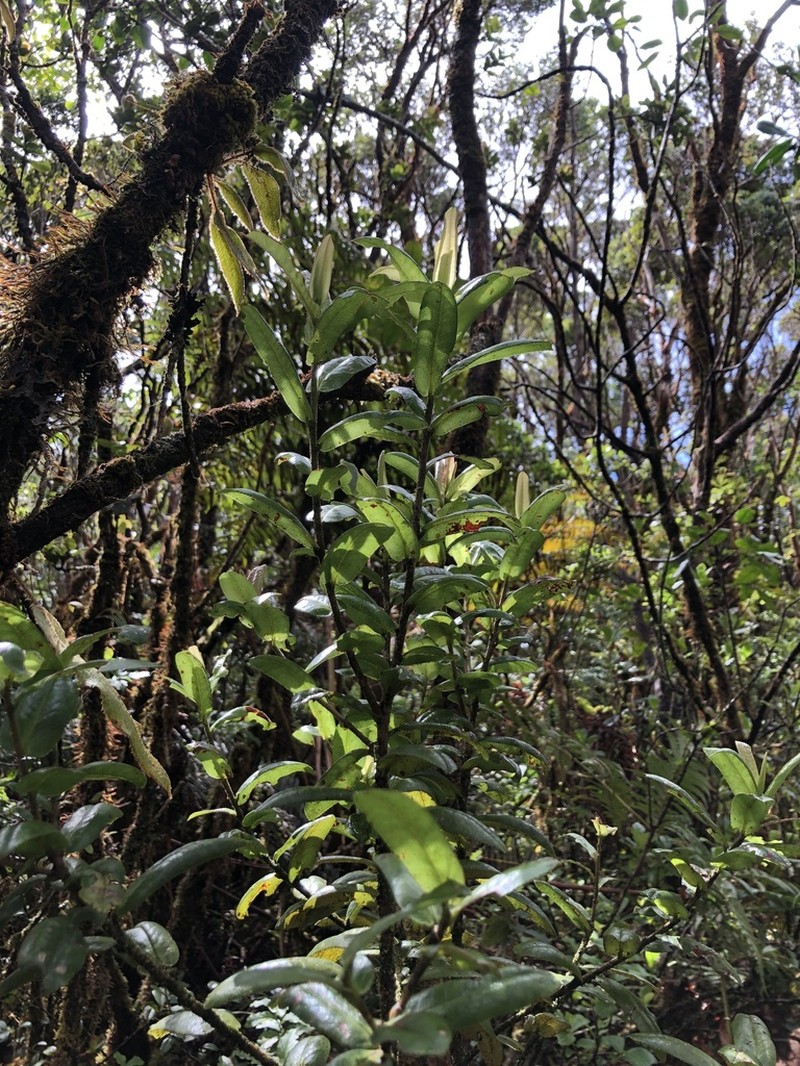 Anini photo 3