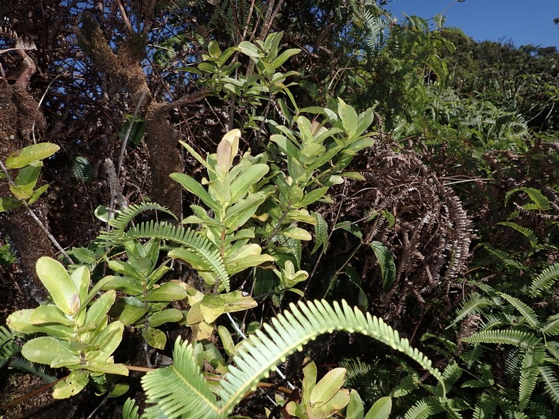 Anini photo 5
