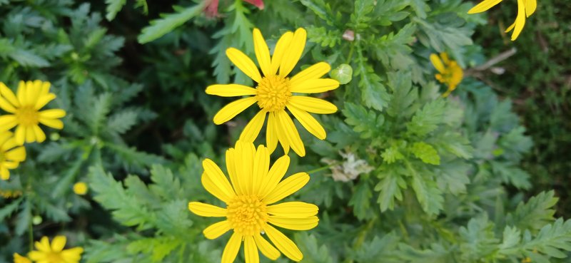 Bull's Eye photo 7