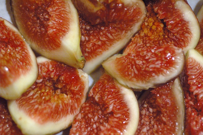 Edible Fig photo 5