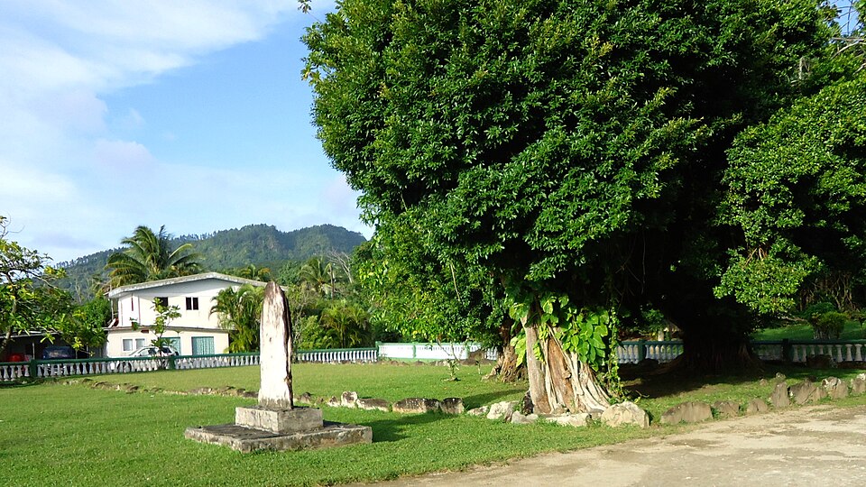 Fig photo 2