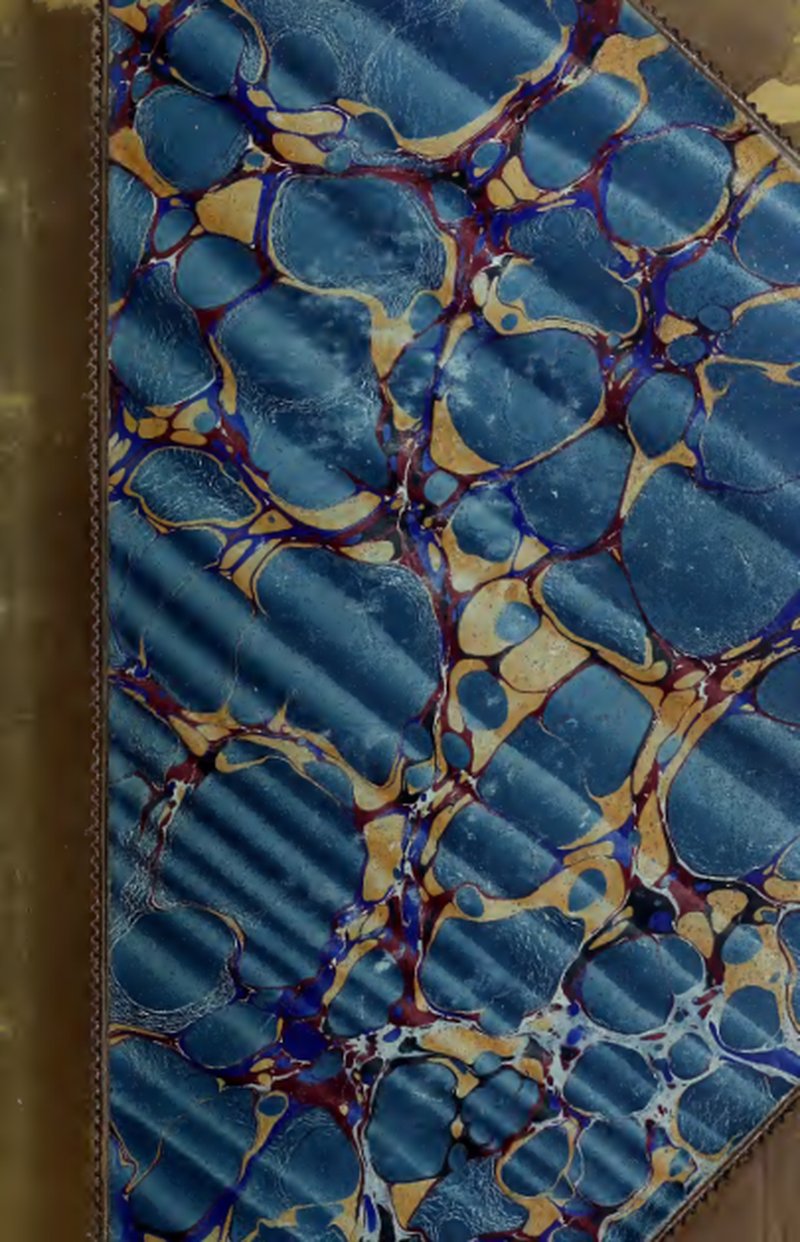 Polypody Fissidens Moss