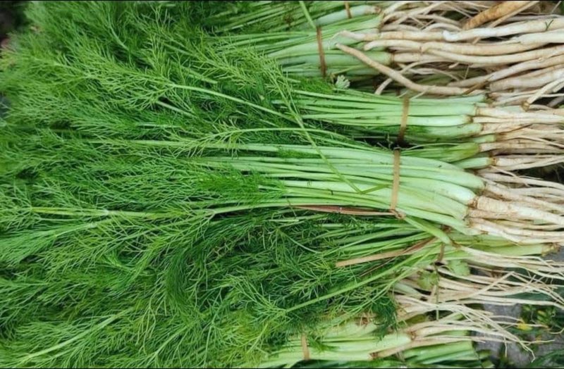 Sweet Fennel photo 5