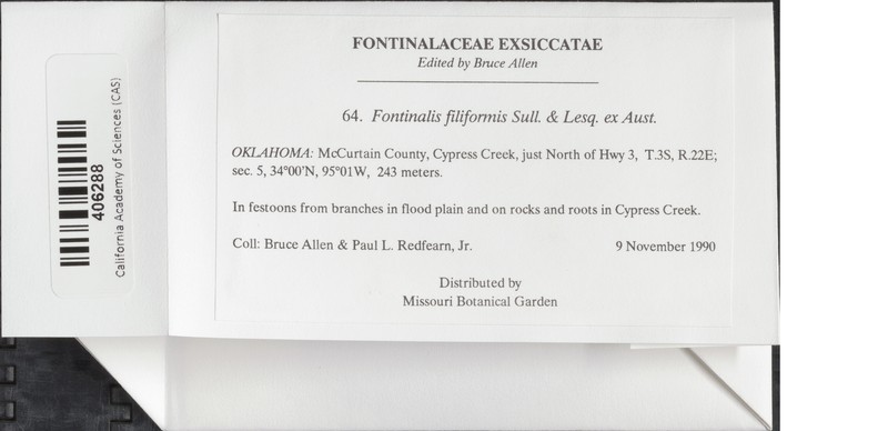 Fontinalis Moss photo 3