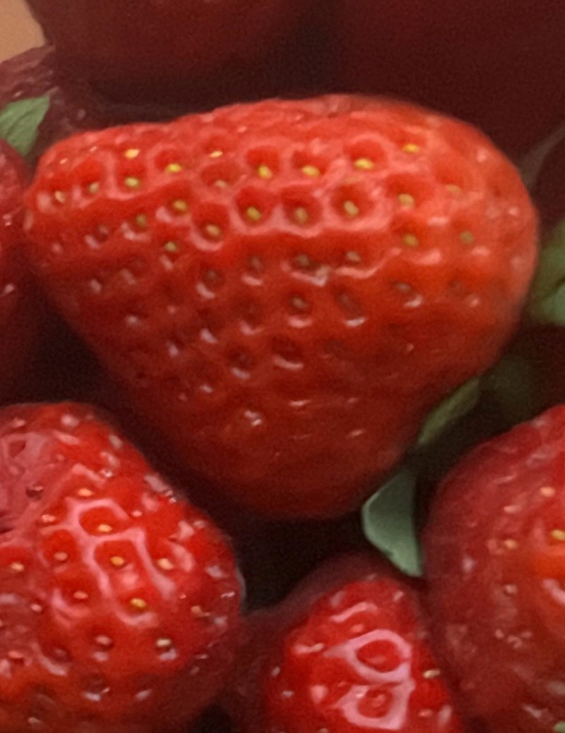 Fragaria × ananassa photo 7