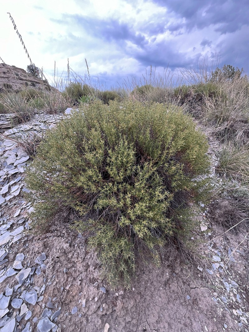 James' Seaheath photo 4