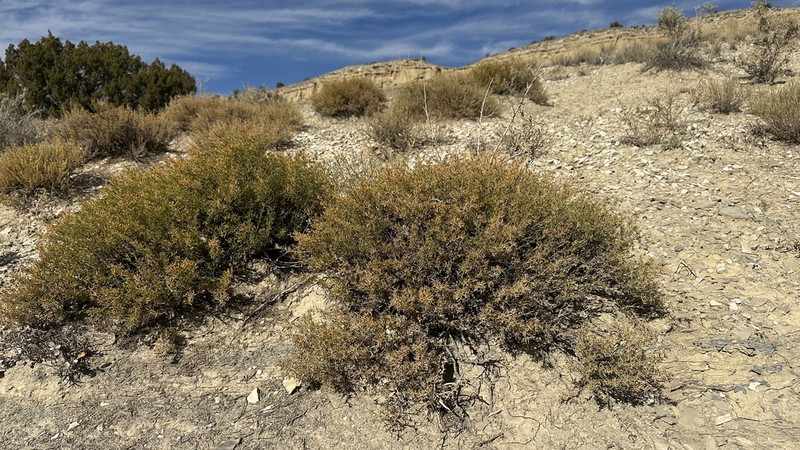 James' Seaheath photo 7