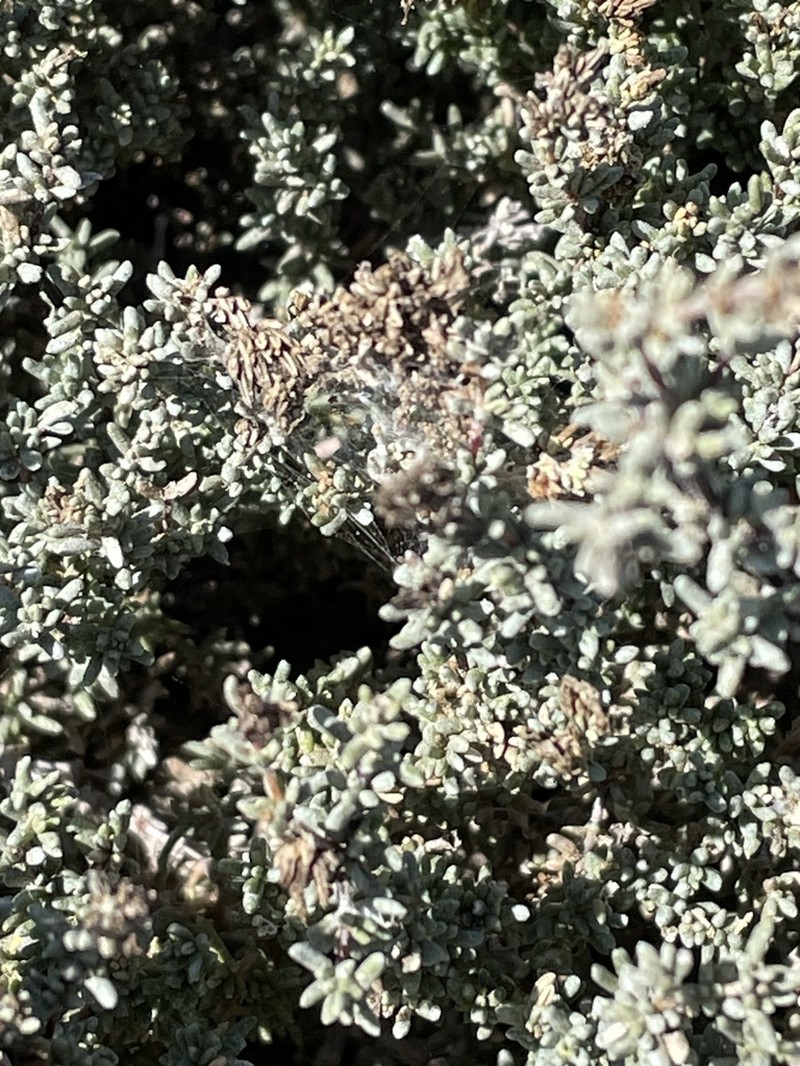 Palmer's Seaheath photo 5