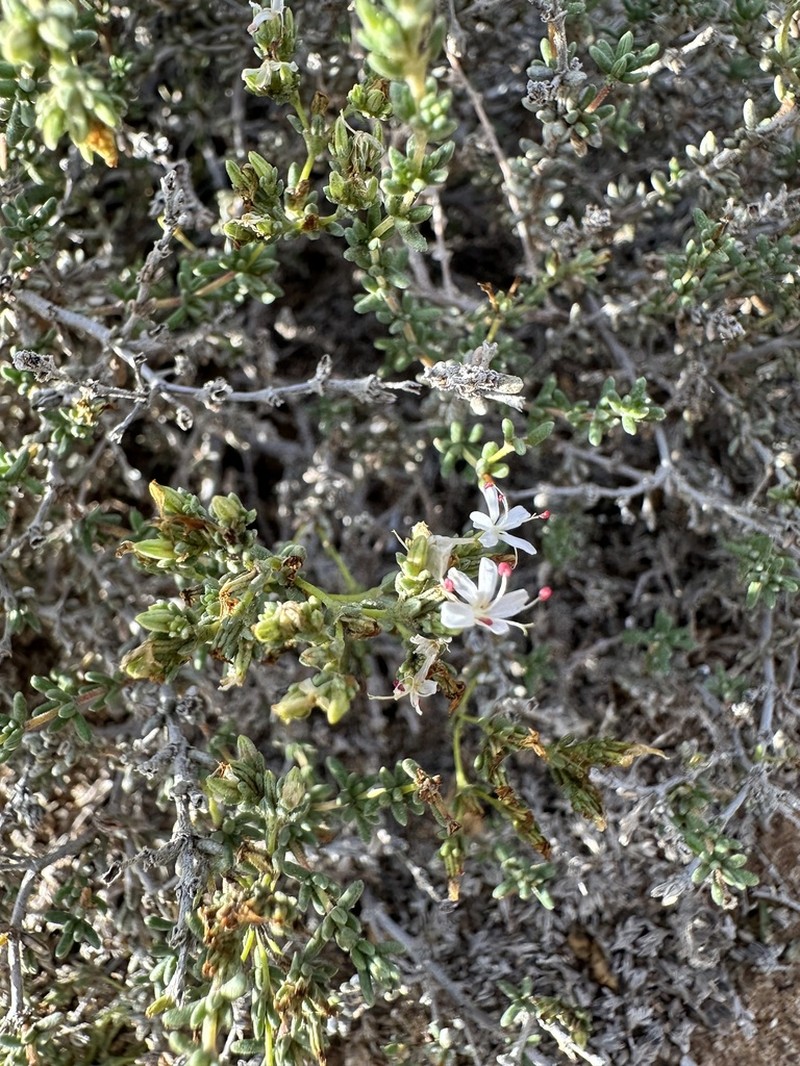 Palmer's Seaheath photo 8