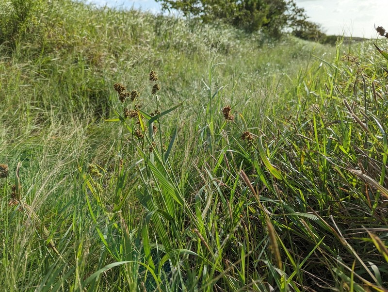 Yefen photo 3