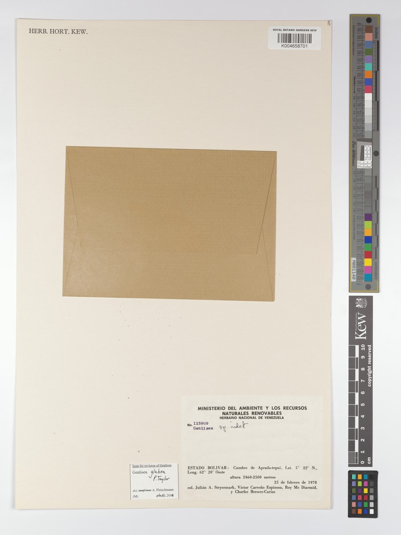 Genlisea glabra photo 2