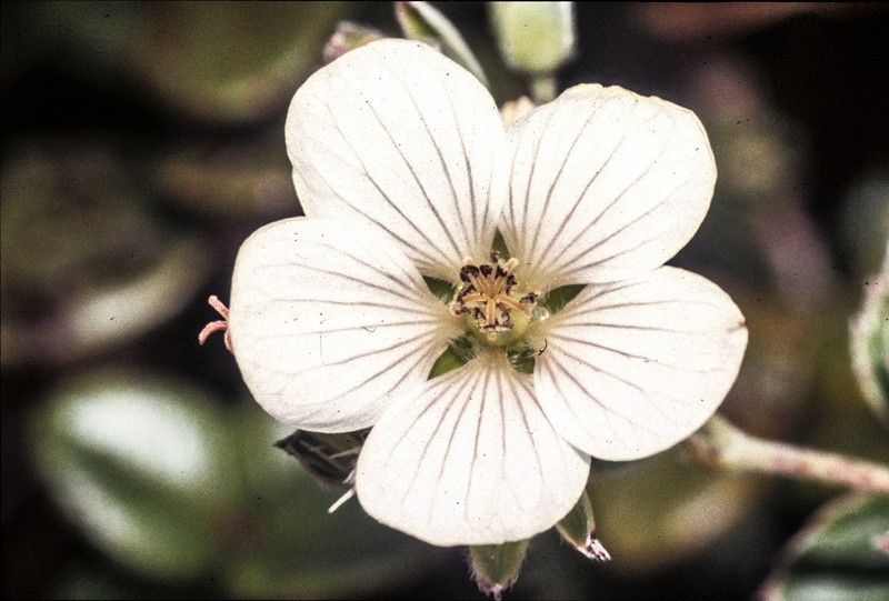 Nohoanu photo 7