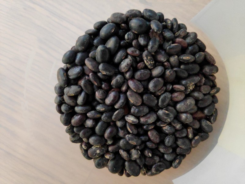 Soybean photo 7
