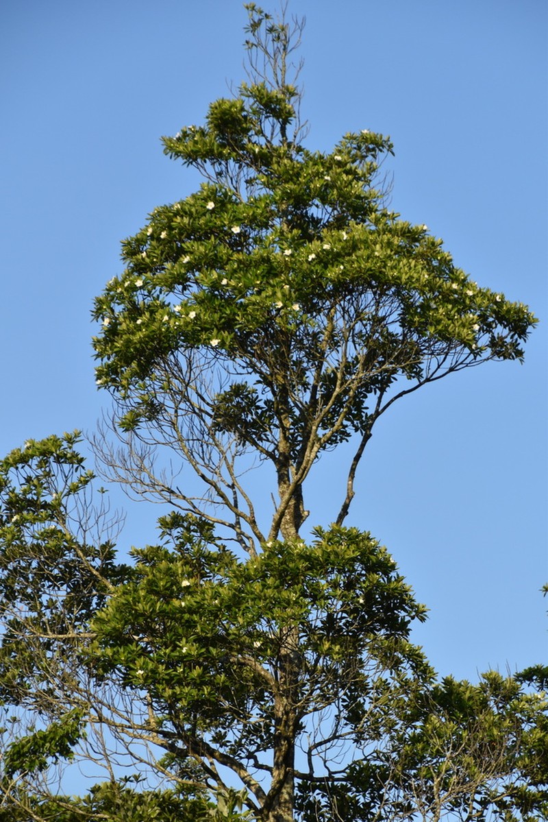 Loblolly Bay photo 3