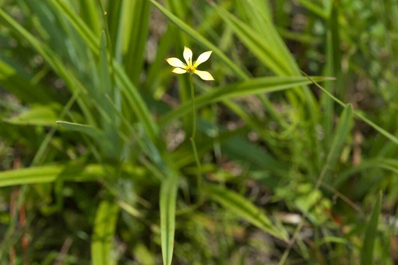 Harper's Beauty photo 3
