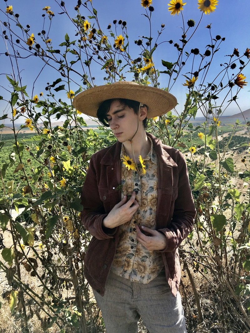 Helianthus winteri