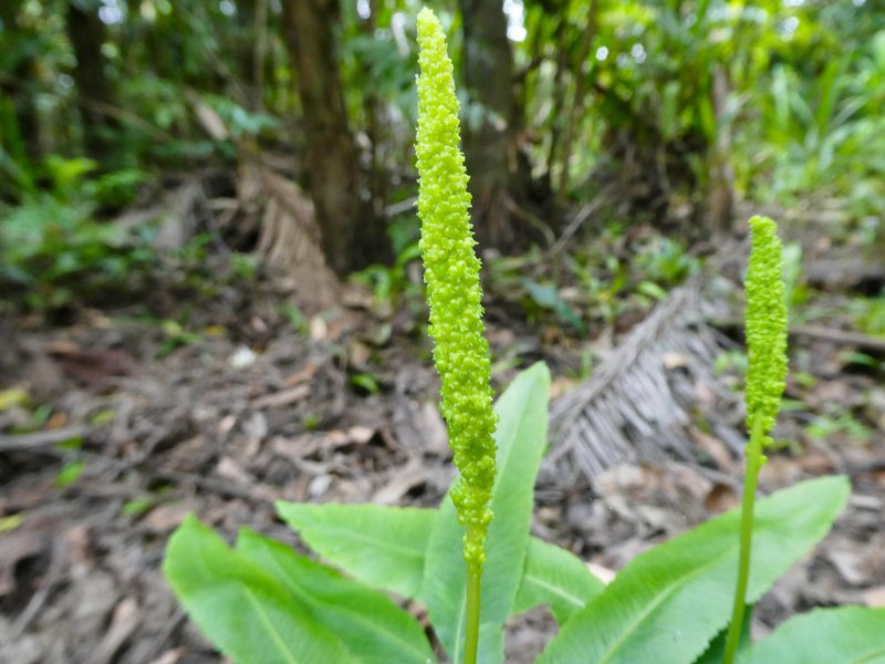 Kamraj photo 8