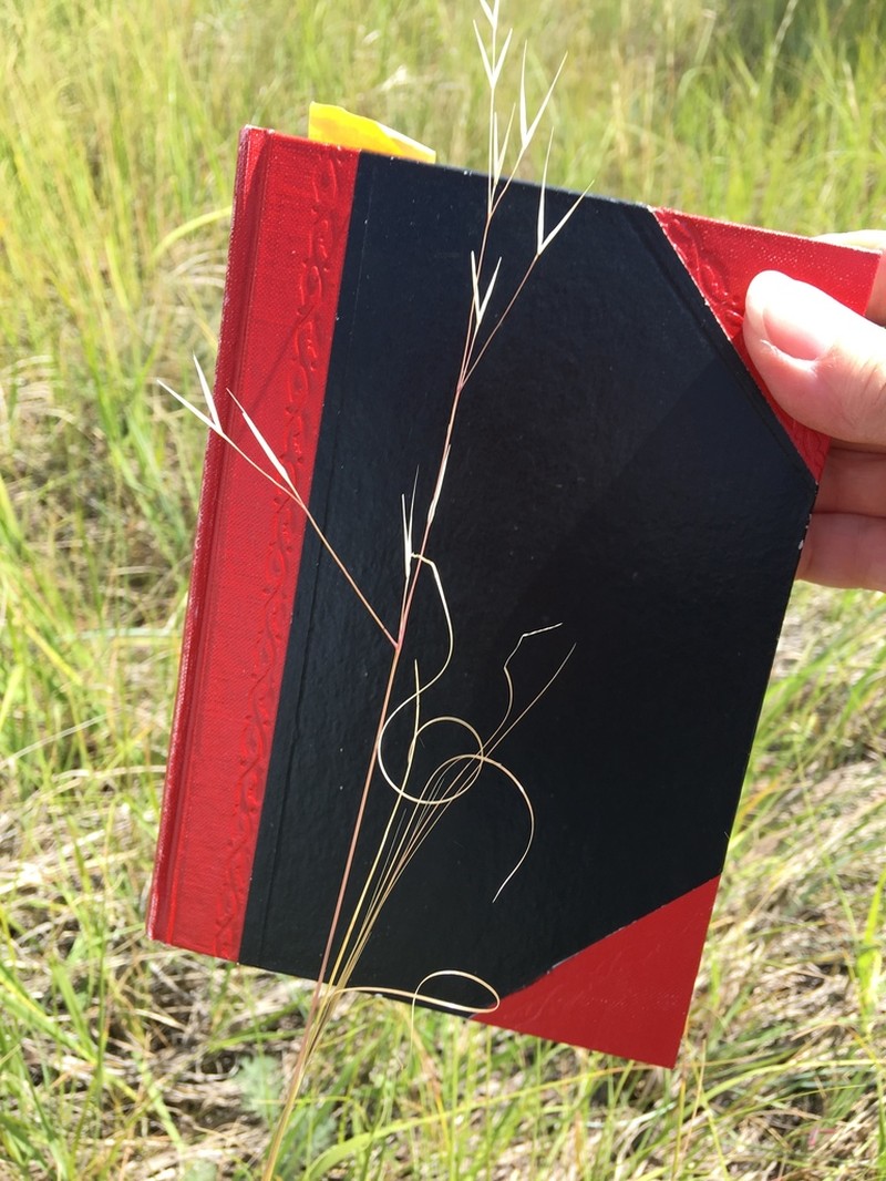 Needle And Thread photo 2