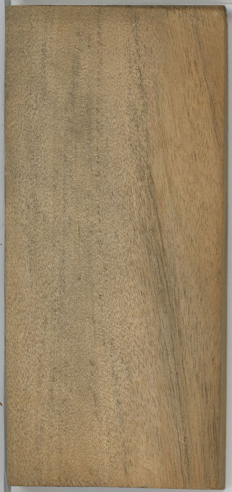 Hexalobus crispiflorus